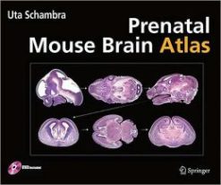 Prenatal Mouse Brain Atlas: Color images and annotated diagrams of: Gestational Days 12, 14, 16 and 18 Sagittal, coronal and horizontal section (PDF)