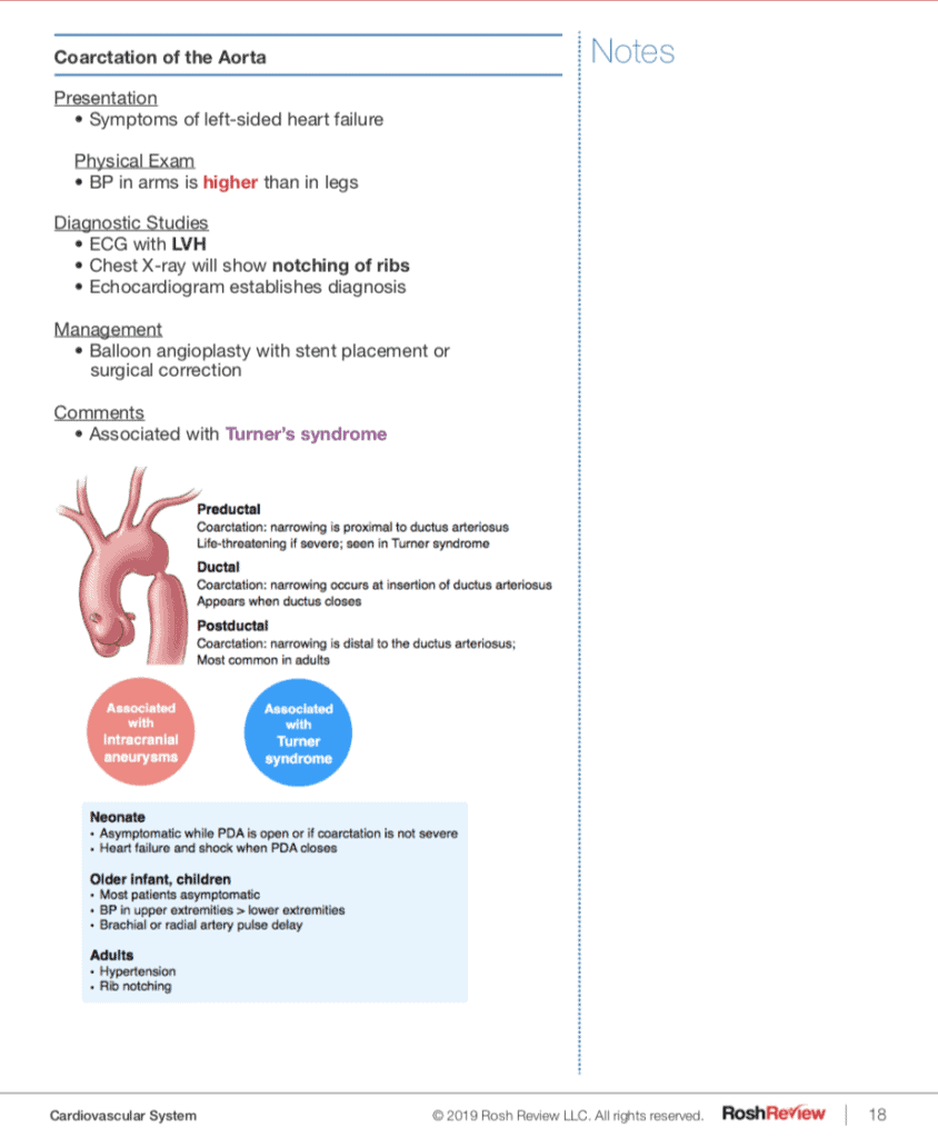 Coarctation of the Aorta